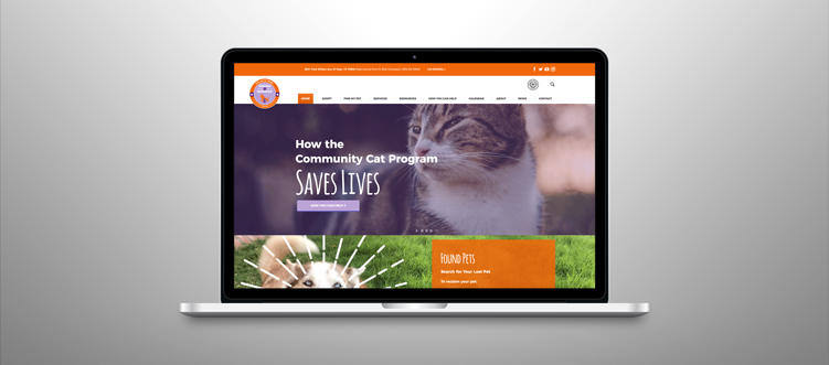 El Paso Animal Services Website Redesign